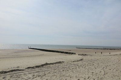 Schlafstrandhaus am Strand von Dishoek