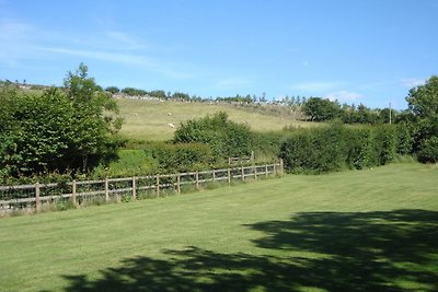 Bellissima Casa Vacanze a Tavistock con...