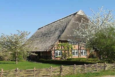 Ute von Lingelsheim