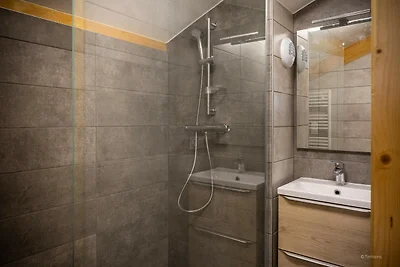 Schöne Wohnung in Hauteluce