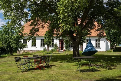 Ferienhaus in Steffenshagen mit Terrasse