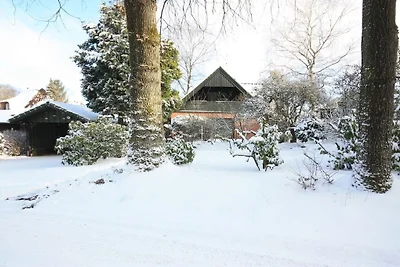 Holiday home in Buchholz with swimming pool