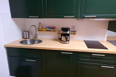 Przyjazny zwierzętom apartament wakacyjny w o...