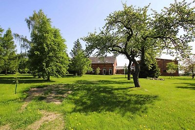 Ferienwohnung an der Elde-ehemals TUI...