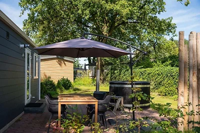 Schönes Ferienhaus in Overijssel