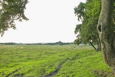 6 persoons vakantie huis in Kolind-By Traum