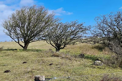 6 Personen Ferienhaus in Humble-By Traum
