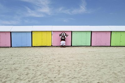 Spaziosa casa vacanze a 800 m. dal mare