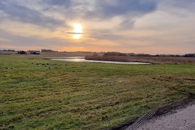 5 Sterne Ferienhaus in Løkken