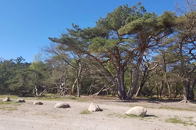 Luxus-Refugium in Liseleje
