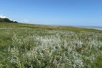 6 persone case ad Ørsted