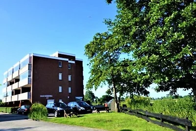 Exterieur vakantiehuis (zomer) Exterieur vakantiehuis (zomer)