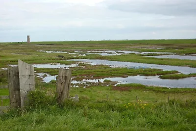 Schuurverblijf met Ziel in Noordgouwe