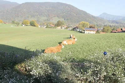 Schneider - Hof || Ruhpolding