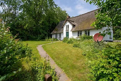 Reetgedecktes Ferienhaus in Westerhever mit...