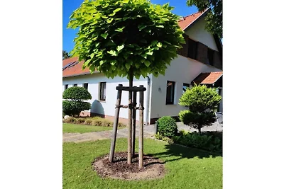 Altschulze "Teichrose"