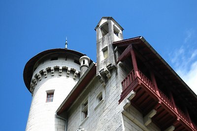 Gerenoveerd kasteel appartement met zwembad