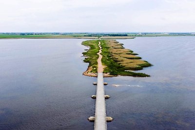 4 sterren vakantie huis in Ringkøbing