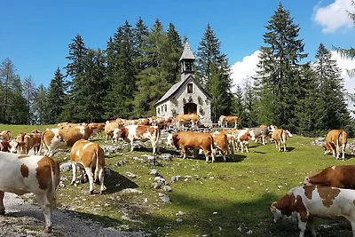 Chalet Dr. Datz