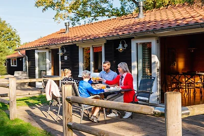 Naturnahe Lodge für 4 Personen in Slagharen