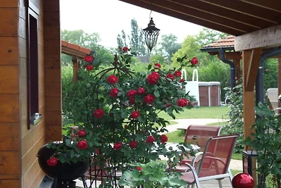Ferienhaus mit 2 Schlafzimmer