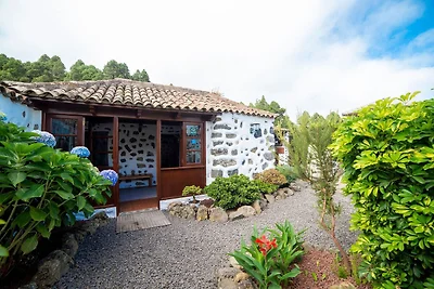 Ferienhaus inmitten des Waldes
