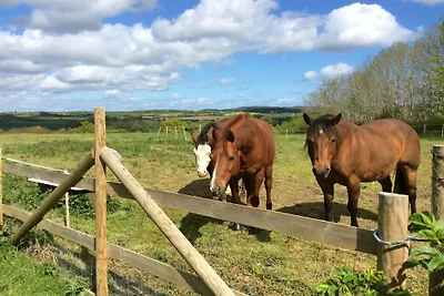 Landhaus Kühren ****