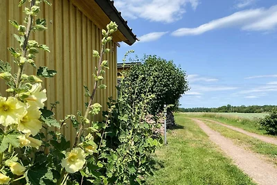 4 Persone case ad FÄRJESTADEN