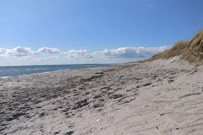 6 Personen Ferienhaus in Hadsund-By Traum