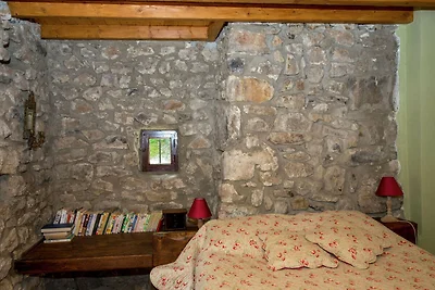 Caratteristica villa in Ardeche con camino