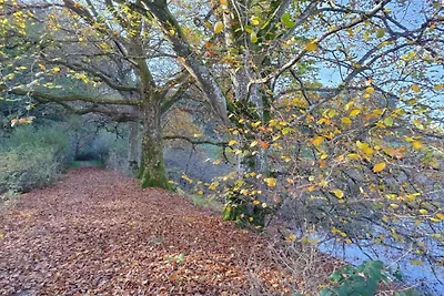 Nella regione (estate) (>5 km) Nella regione (estate) (>5 km)