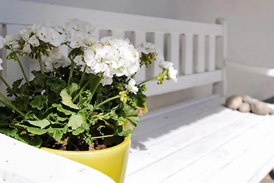 Seaside Charm in Baring - By Traum...