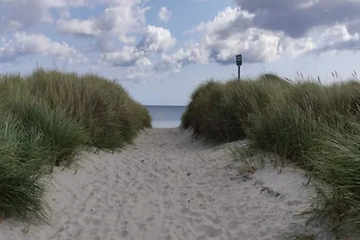 Lichte kustschuilplaats in LyngsAY-By Traum