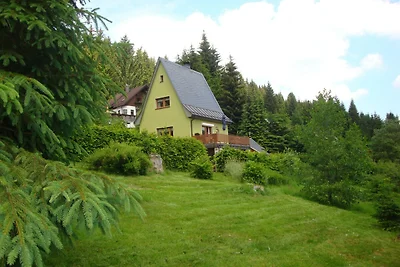 Ferienhaus mit Sauna in Wildenthal