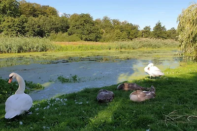 Gemutliches Refugium am Koge Bay -- By Traum...