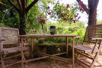 Ferienhaus in Les Eyzies-De-Tayac-Sireuil mit...