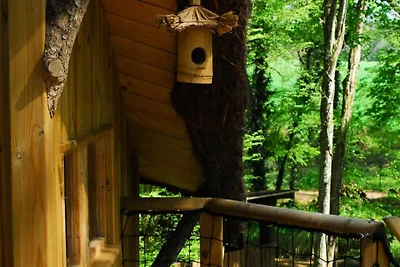 Ouistitis Familienh�tten f�r 6 Personen