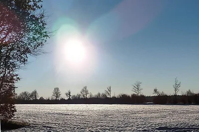 Ferienhaus in Hünning an der Treene