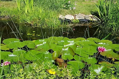Vakantiehuis met 3 slaapkamers