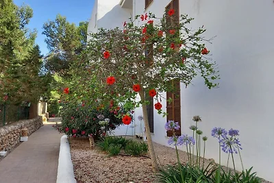 Residencia Sirena D'Or