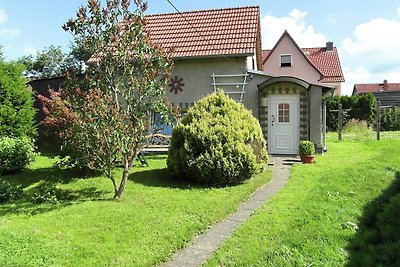 Gezellig vakantiehuis met terras in de Harz