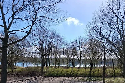 Ferienhaus moin Seeblick Heede