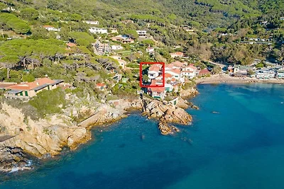 Appartamento Terrazza Isola d'Elba