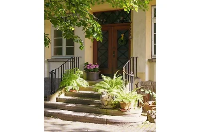 Apartament Bergmann Terrace
