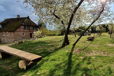 Wohnung mit 1 Schlafzimmer