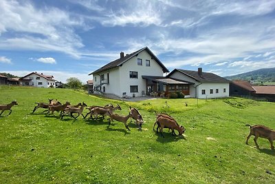 Charmante Ferienwohnung im Bayerischen Wald