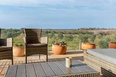 Schönes Ferienhaus in Novigrad mit privatem...