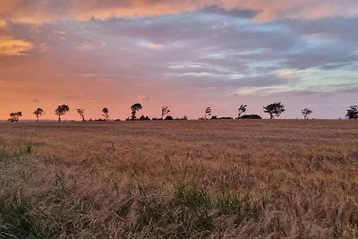 5 persone case ad Roslev-By Traum