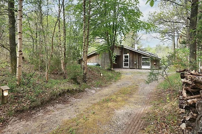 6 Personen Ferienhaus in Ålbæk