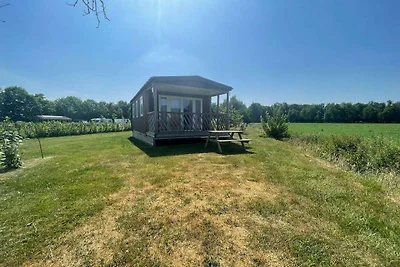 Ruhiges Chalet in Schoonloo mit Terrasse